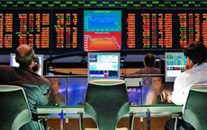 The Stock Exchange for Beginners
